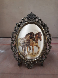 Framed Print of Horses