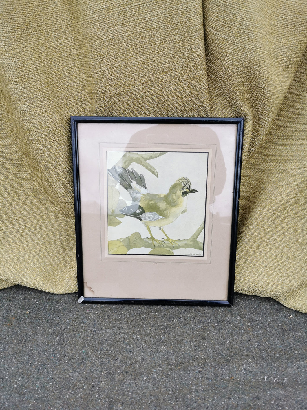 Black Framed Watercolour of Bird