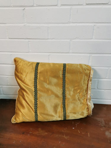 Gold Satin & Broad Cushion