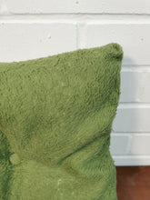 Load image into Gallery viewer, Green Teddy Bear Fur Cushion