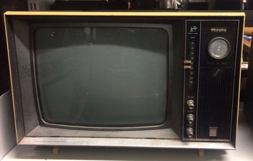 Portable television